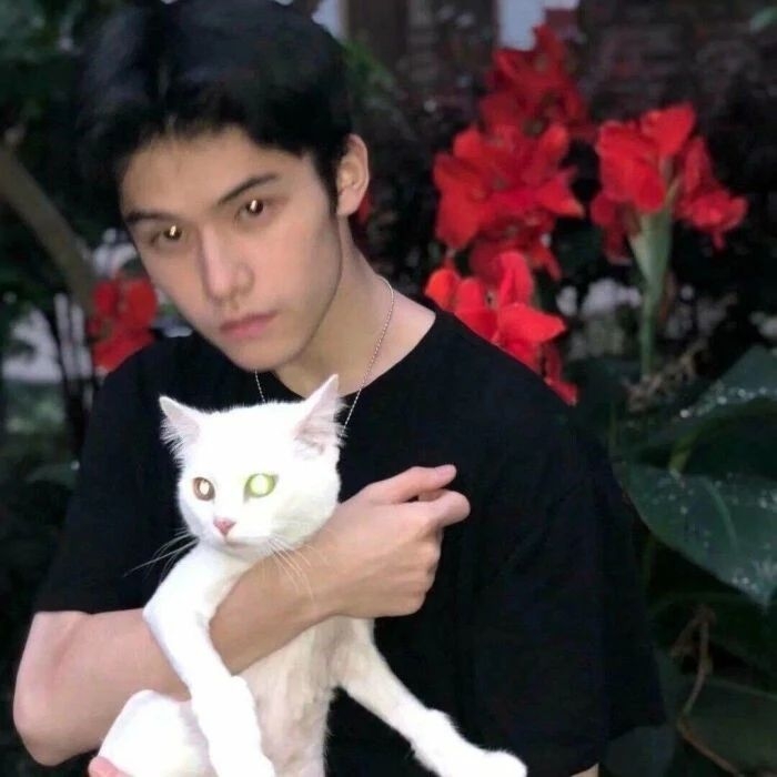 爷的魅力你不懂的第一张照片--平潭征婚网